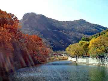 新澳天天开奖资料大全旅游团，电动打药机